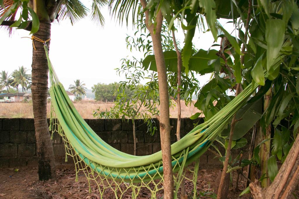 Wonderland Hostel Anjuna Exterior photo